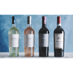 Italiensk Scaia Chardonnay Hvid (0,75 l)